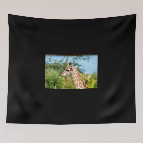Item preview, Rothschild Giraffe sticking out tongue designed and sold by Graphics By Craig.