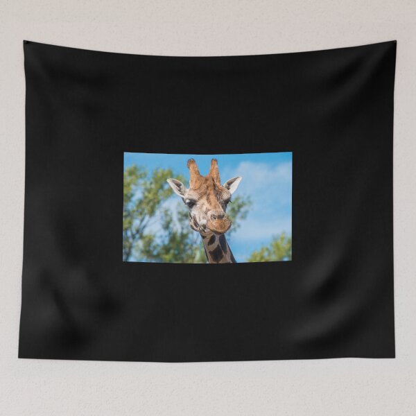 Item preview, Close up photo of a Rothschild Giraffe head designed and sold by Graphics By Craig.