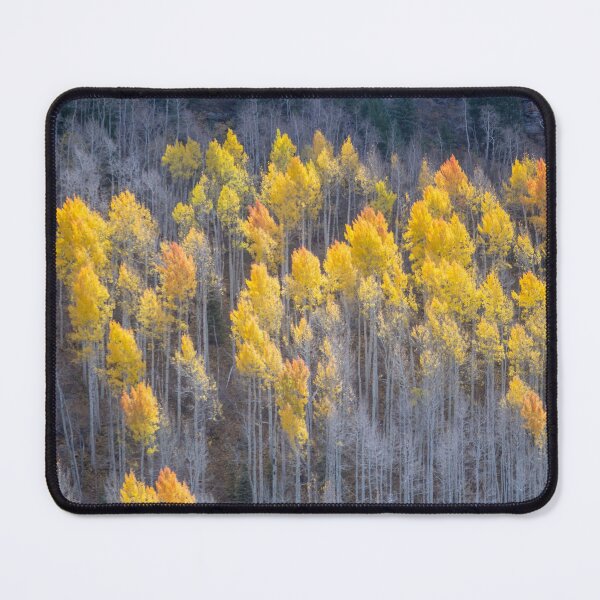 Item preview, Autumn in Utah's Unita National Forest designed and sold by TheCurators.