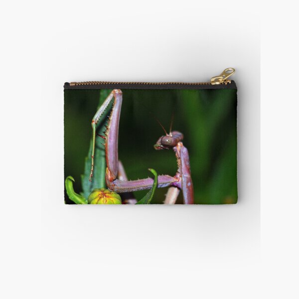 Item preview, Archimantis latistyla designed and sold by andrachne.
