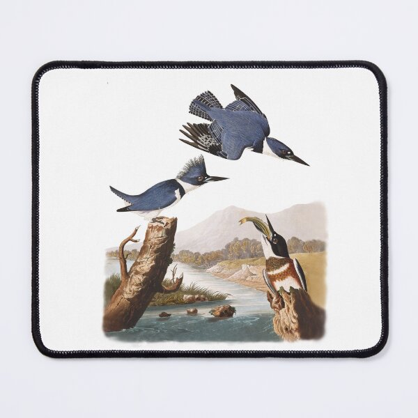 Item preview, Belted Kingfishers by John James Audubon designed and sold by TheCurators.