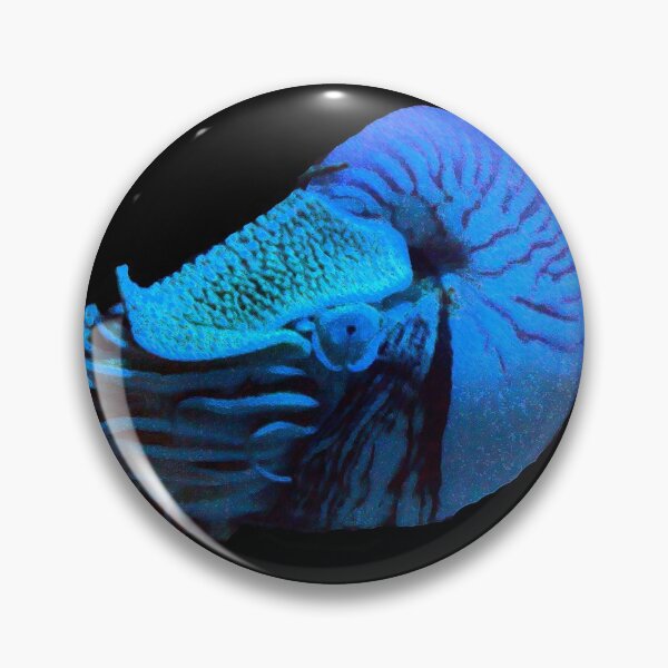 Item preview, Nautilus designed and sold by Jayson Gaskell Photography.