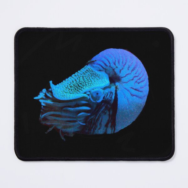 Item preview, Nautilus designed and sold by Jayson Gaskell Photography.