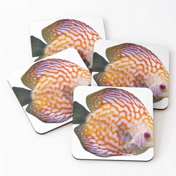 Item preview, Discus fish are available for viewing in the Thailand Aquarium. designed and sold by greengoodnich.