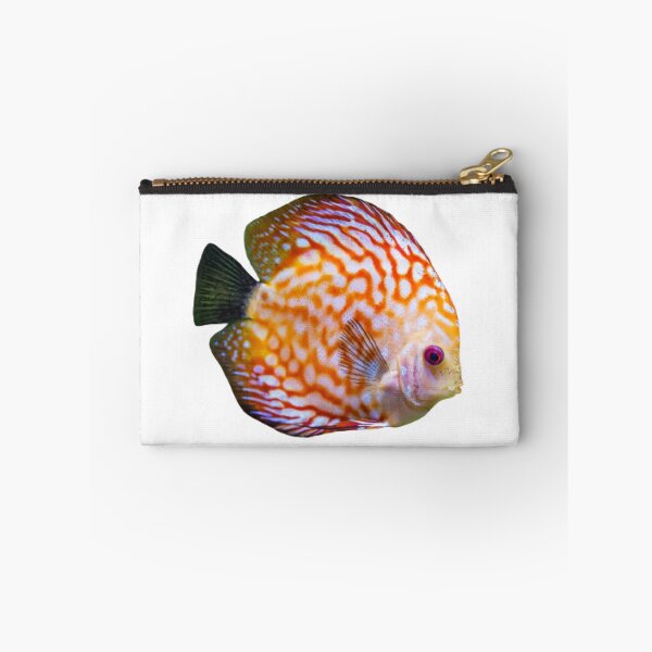 Item preview, Discus fish are available for viewing in the Thailand Aquarium. designed and sold by greengoodnich.