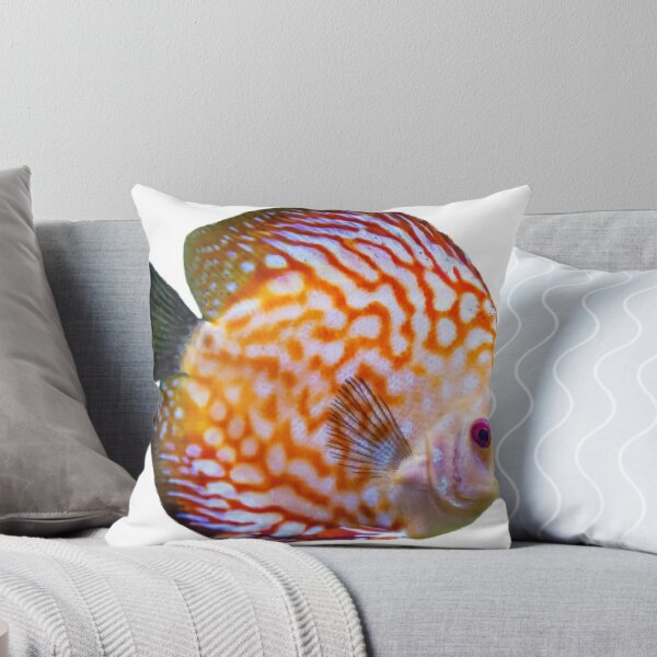 Item preview, Discus fish are available for viewing in the Thailand Aquarium. designed and sold by greengoodnich.