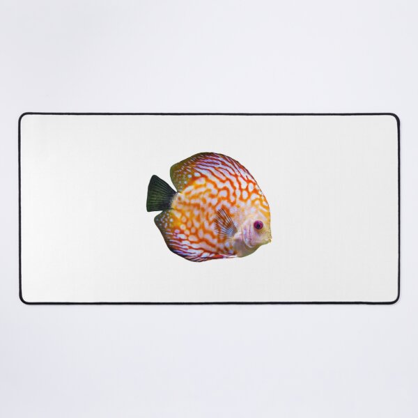Item preview, Discus fish are available for viewing in the Thailand Aquarium. designed and sold by greengoodnich.