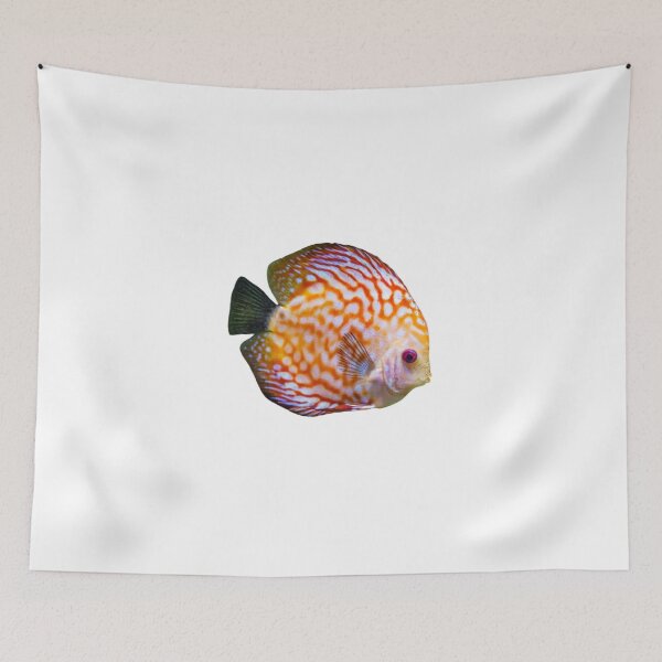 Item preview, Discus fish are available for viewing in the Thailand Aquarium. designed and sold by greengoodnich.