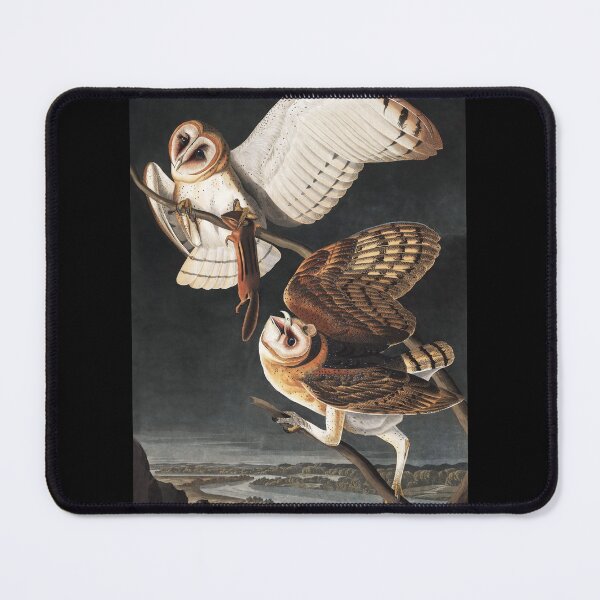 Item preview, Barn Owl With Prey by John James Audubon designed and sold by TheCurators.
