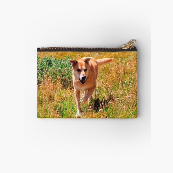 Item preview, Adventures with Y dog designed and sold by Karen  Rubeiz.