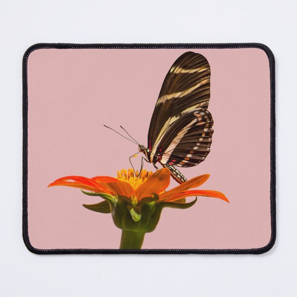 Item preview, Butterfly on Zinnia designed and sold by Zina Stromberg.