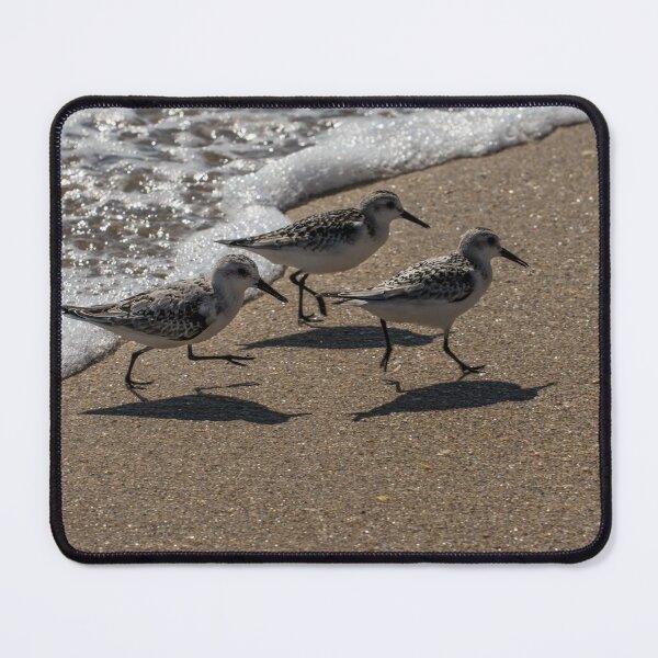 Item preview, Sandpipers designed and sold by Zina Stromberg.