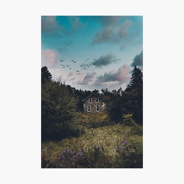 Cottage in the Forest Photographic Print