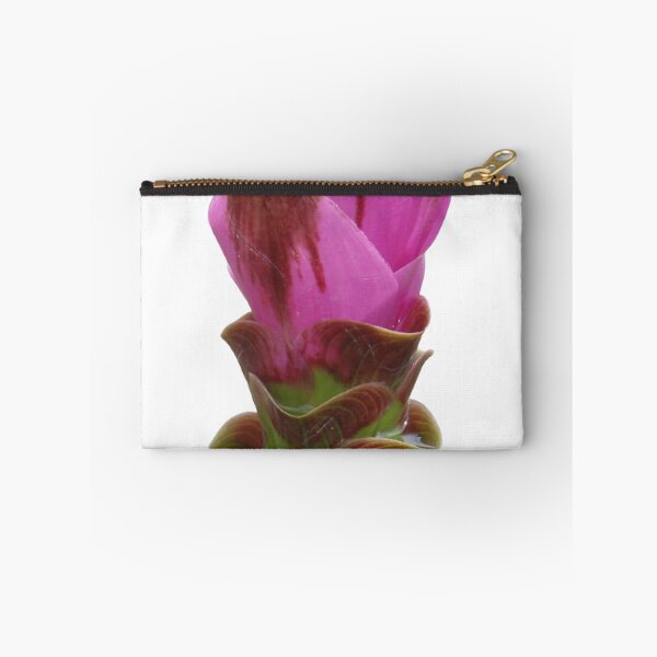 Item preview, Shadow name in Curcuma sp. variety picture from crop of THAILAND designed and sold by greengoodnich.