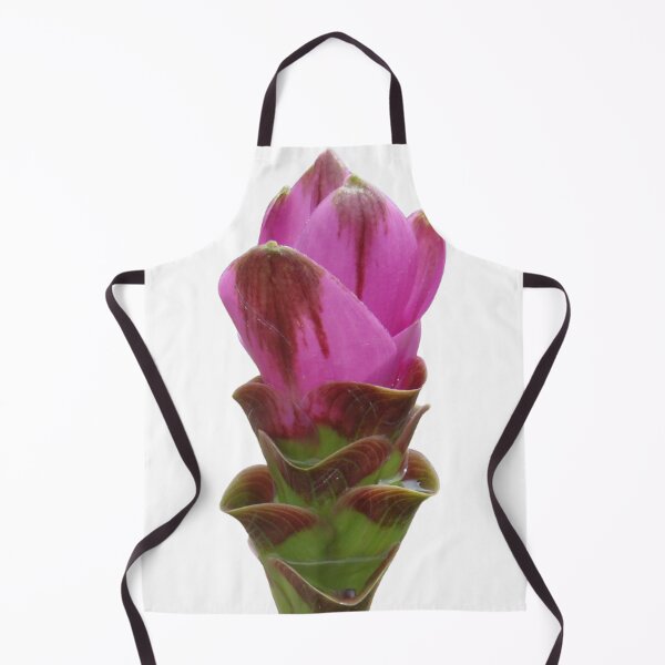 Item preview, Shadow name in Curcuma sp. variety picture from crop of THAILAND designed and sold by greengoodnich.