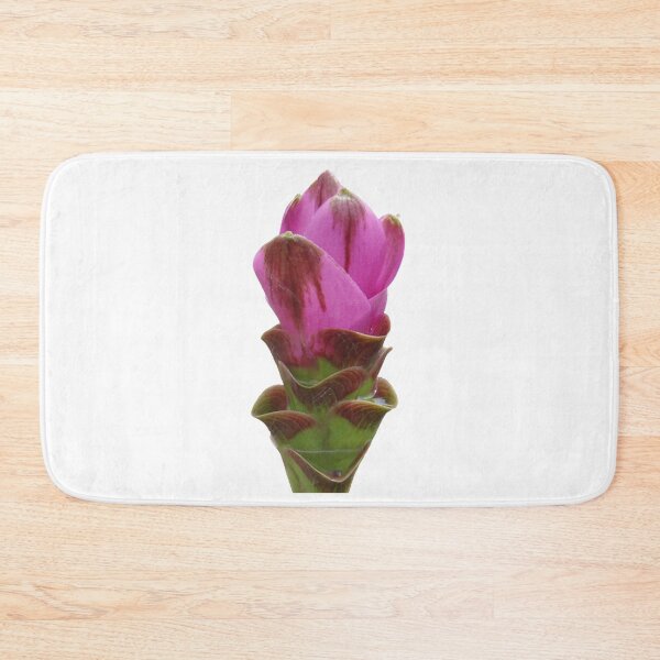 Item preview, Shadow name in Curcuma sp. variety picture from crop of THAILAND designed and sold by greengoodnich.