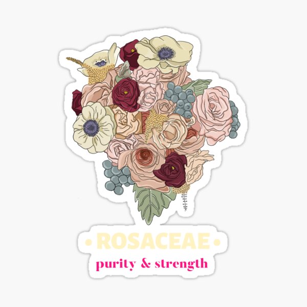 Rosaceae Rose Purity And Strength Sticker For Sale By Botaniquestyle
