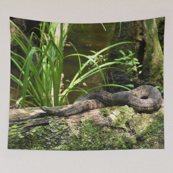 Item preview, Brown Water Snake Closeup Print designed and sold by Paul-Prints.