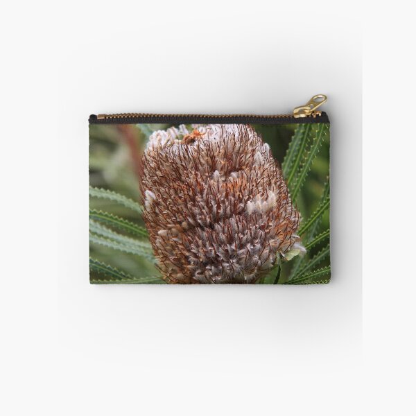 Item preview, Banksia prionotes designed and sold by andrachne.