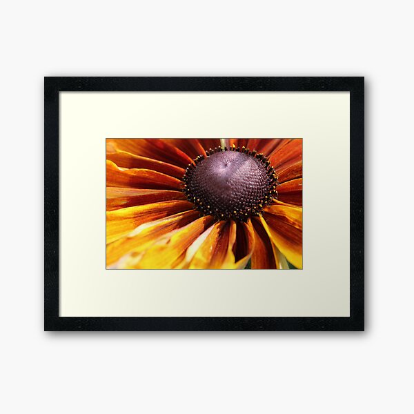 Item preview, Macro  designed and sold by PassionExpress.