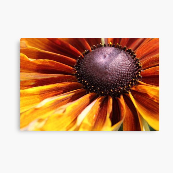 Item preview, Macro  designed and sold by PassionExpress.