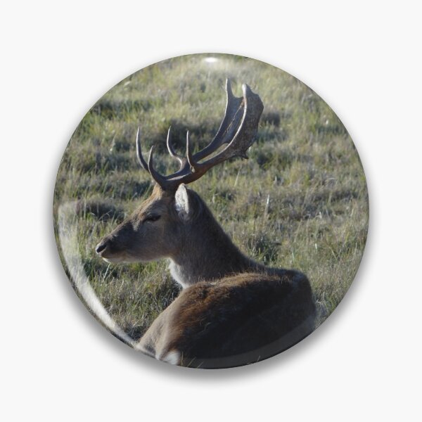 Item preview, Woodland Whitetail Christmas Deer designed and sold by TheWildFlix.