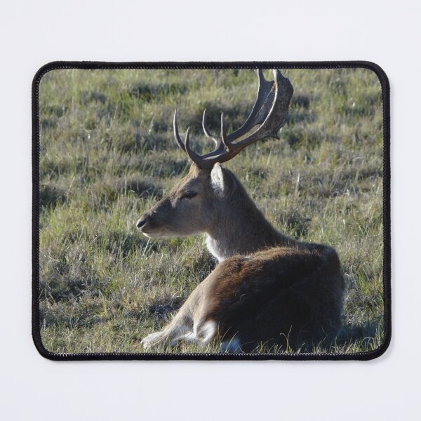 Item preview, Woodland Whitetail Christmas Deer designed and sold by TheWildFlix.