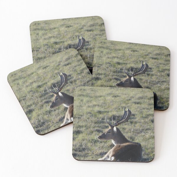 Item preview, Woodland Whitetail Christmas Deer designed and sold by TheWildFlix.
