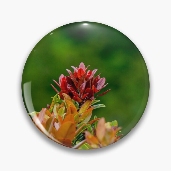 Item preview, Liko Rising designed and sold by Keola Makaiau.