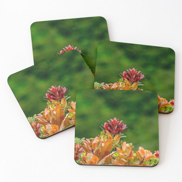 Item preview, Liko Rising designed and sold by Keola Makaiau.