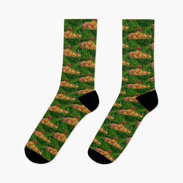 Item preview, Liko Rising designed and sold by Keola Makaiau.
