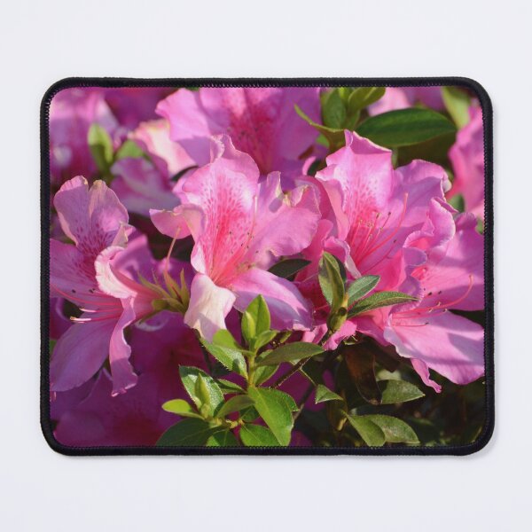 Item preview, Pink rhododendron designed and sold by Zina Stromberg.