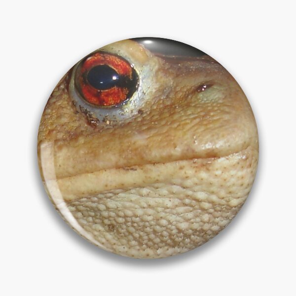 Item preview, Close Up Portrait of A Common Toad designed and sold by taiche.