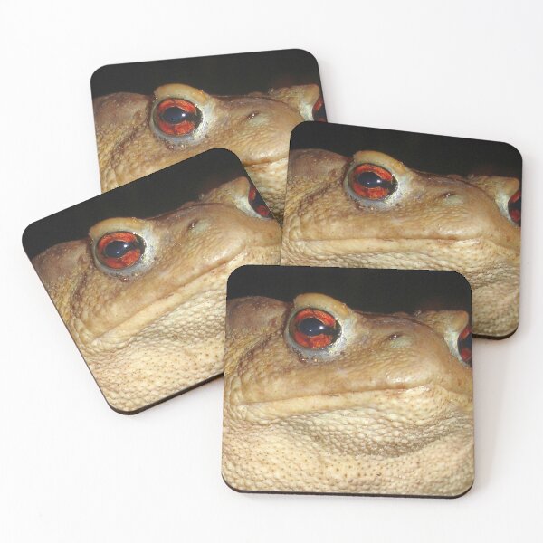 Item preview, Close Up Portrait of A Common Toad designed and sold by taiche.