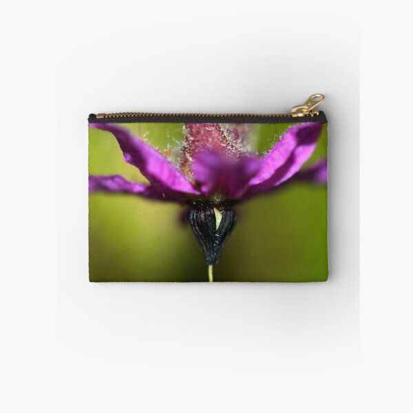 Item preview, Lysiosepalum abollatum  designed and sold by andrachne.