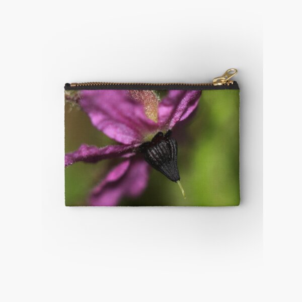 Item preview, Lysiosepalum abollatum designed and sold by andrachne.