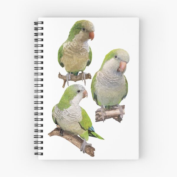 Item preview, Argentine parrot designed and sold by obscurite.