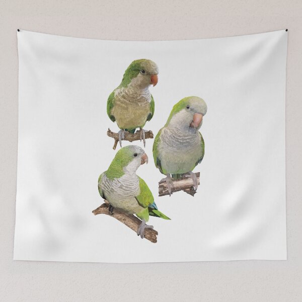 Item preview, Argentine parrot designed and sold by obscurite.