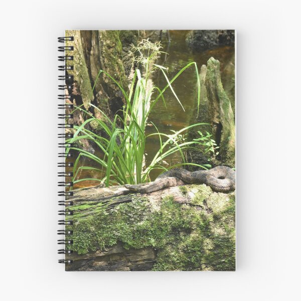Item preview, Brown Water Snake Print designed and sold by Paul-Prints.