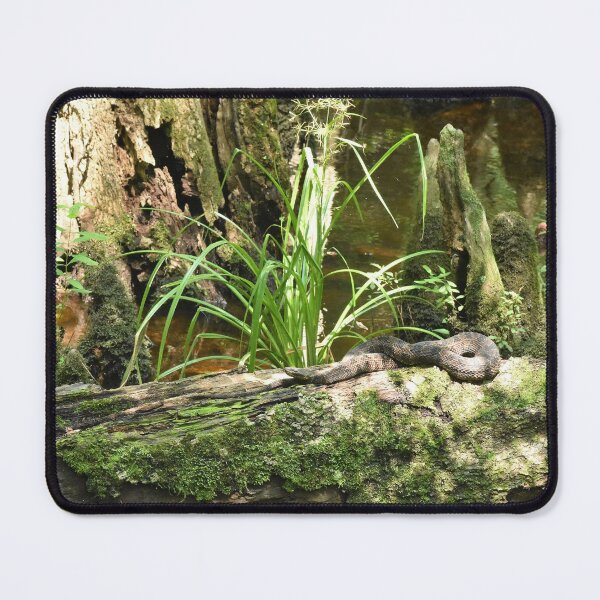 Item preview, Brown Water Snake Print designed and sold by Paul-Prints.