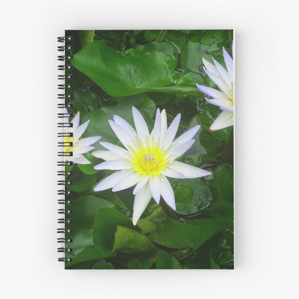 Item preview, Water Lilly, White & Yellow designed and sold by Jeffrey Mask.
