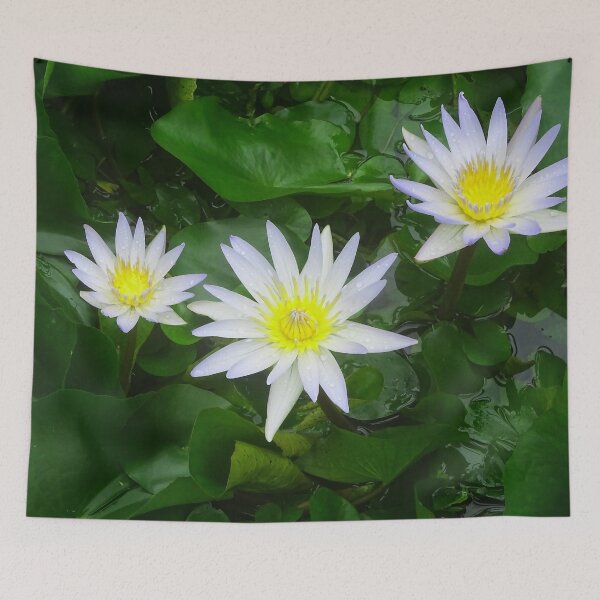 Item preview, Water Lilly, White & Yellow designed and sold by Jeffrey Mask.