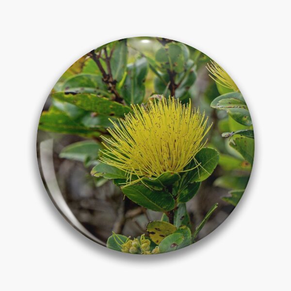 Item preview, Lehua Mamo designed and sold by Keola Makaiau.