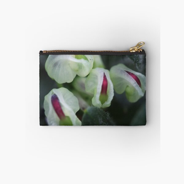 Item preview, Grevillea jephcottii  designed and sold by andrachne.