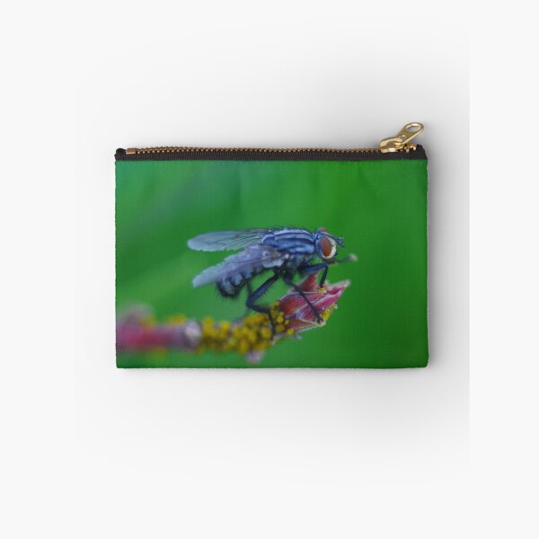 Item preview, The fly designed and sold by Régis Charpentier.