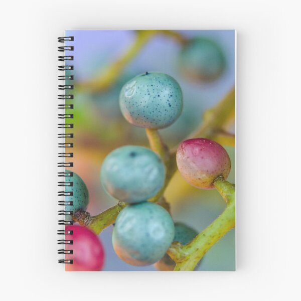 Item preview, Bayas de colores designed and sold by JustLagoons.