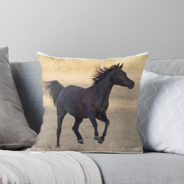 Item preview, Black Arabian horse cantering designed and sold by WordTasker.
