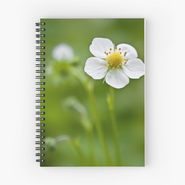 Item preview, Peaceful wild flower. designed and sold by 72soul.