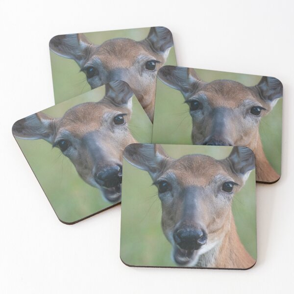 Item preview, Saucy White-tailed Deer doe chewing, looks chatty designed and sold by Steven Holt.