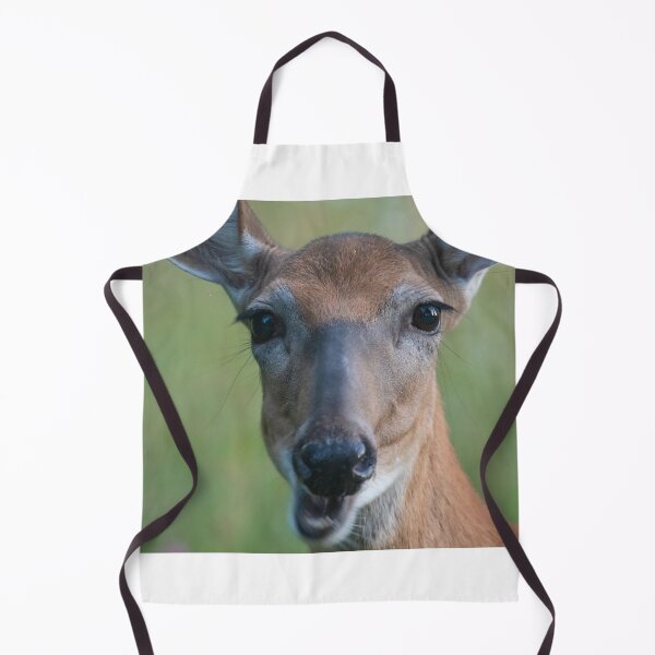 Item preview, Saucy White-tailed Deer doe chewing, looks chatty designed and sold by Steven Holt.